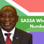 SASSA WhatsApp Numbers, Check R350 and R370 SRD WhatsApp Numbers and Status