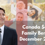 Canada $445 Family Benefit December 2024: Check Date and Other Details